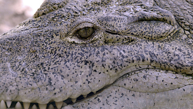 2023 Ginan Seidl, Daniel Ulacia&nbsp;Balmaseda