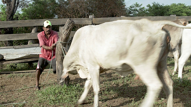 2023 Ginan Seidl, Daniel Ulacia&nbsp;Balmaseda