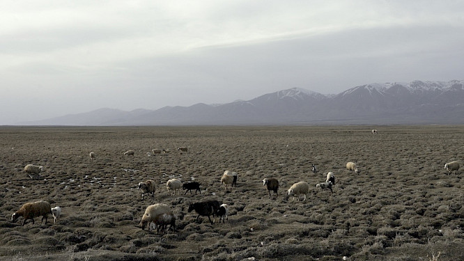 2023 Daniel K&ouml;tter