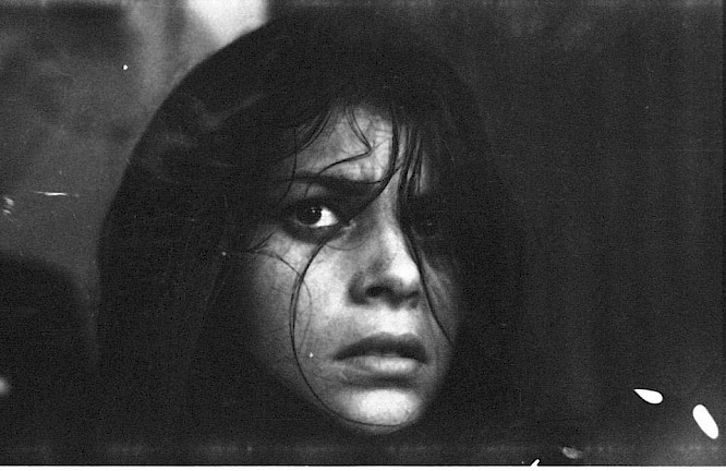 2022 La F&aacute;brica Naranja, Malandar Films, inselfilm