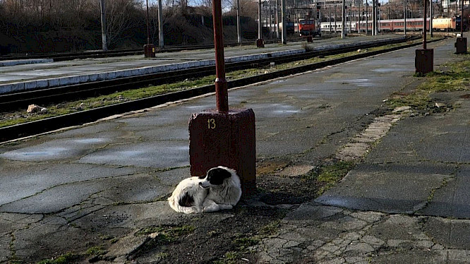 2023 Nicolas&nbsp;Humbert, Simone&nbsp;F&uuml;rbringer