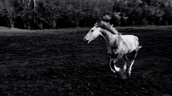 2023 Nicolas&nbsp;Humbert, Simone&nbsp;F&uuml;rbringer