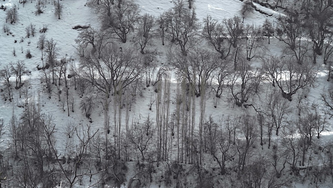 2022 Pinar&nbsp;&Ouml;grenci