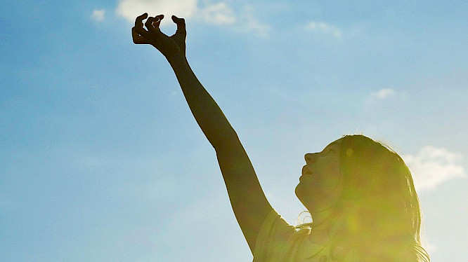 2023 Pangolin Doxx Film | RBB