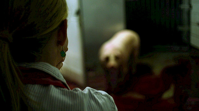 2023 EIKON Media GmbH