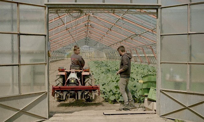 2023 RFF &ndash; Real Fiction Filmverleih e.K. | IT WORKS! Medien GmbH