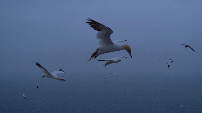 2022 if&hellip; Productions | FILMPERLEN