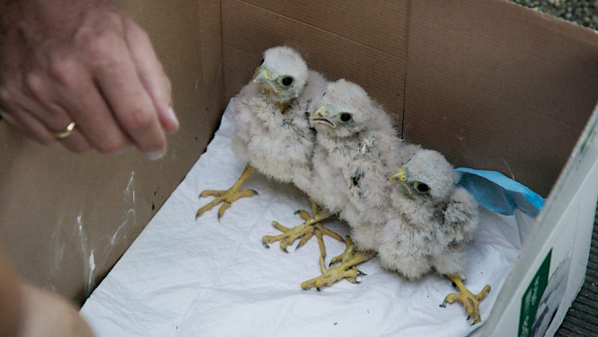 2022 if&hellip; Productions | FILMPERLEN