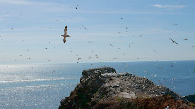 2022 if&hellip; Productions | FILMPERLEN