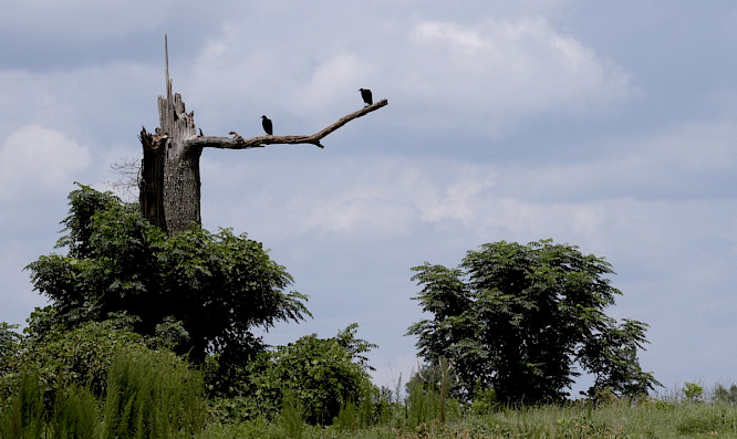 An Hour from the Middle of Nowhere