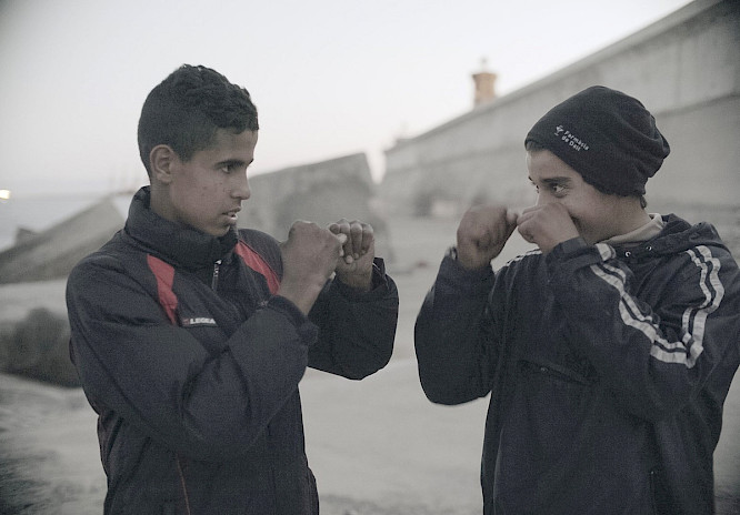 2023 MSZ // Production & Consulting