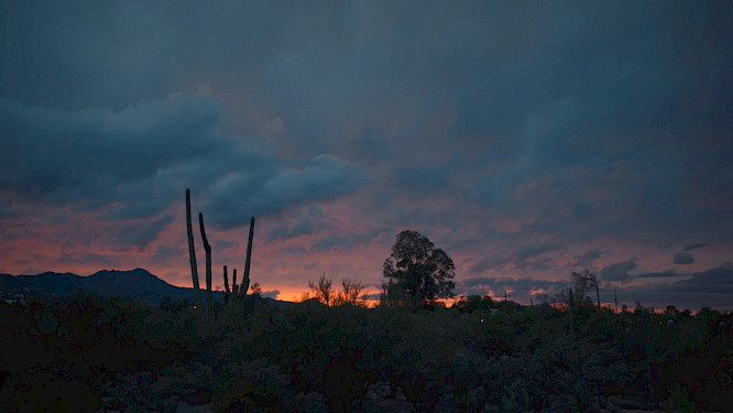 2023 Deckert Distribution | ma.ja.de.