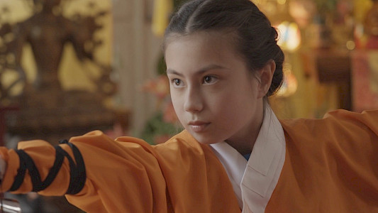 THE DAUGHTER OF THE SHAOLIN MASTER 