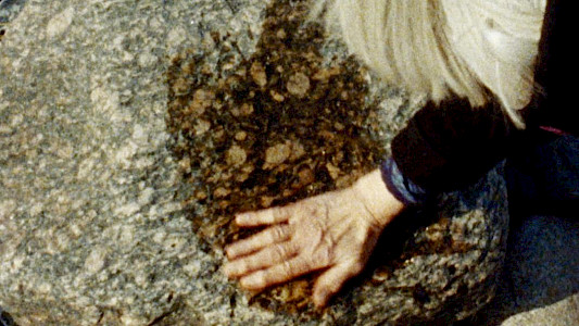 THE WIND IS TAKING THEM