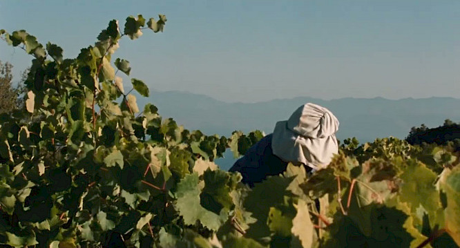 2023 Maximilian Karakatsanis