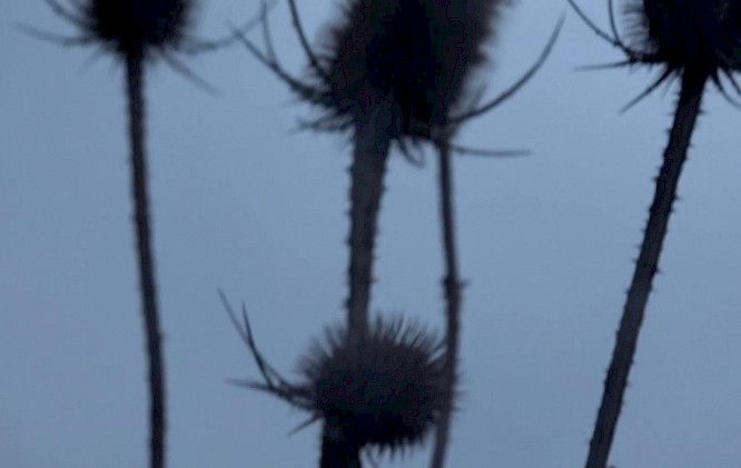 2023 Amelie Vierbuchen, Lea Sprenger, Franca Pape