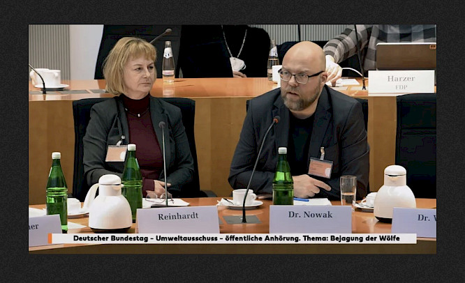 2023 if... Productions | mindjazz pictures