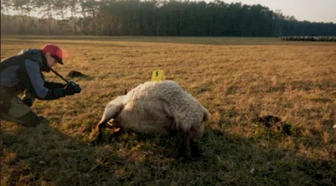 2023 if... Productions | mindjazz pictures