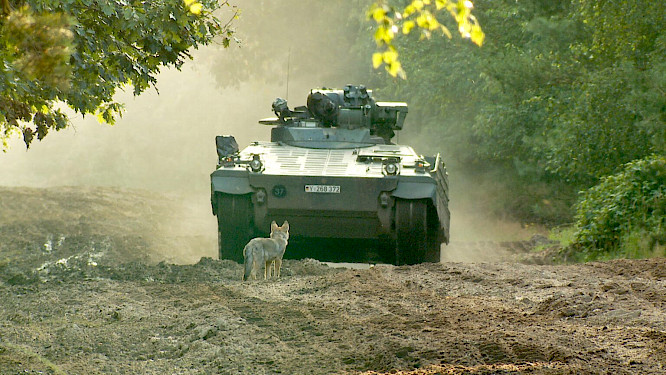 2023 if... Productions | mindjazz pictures