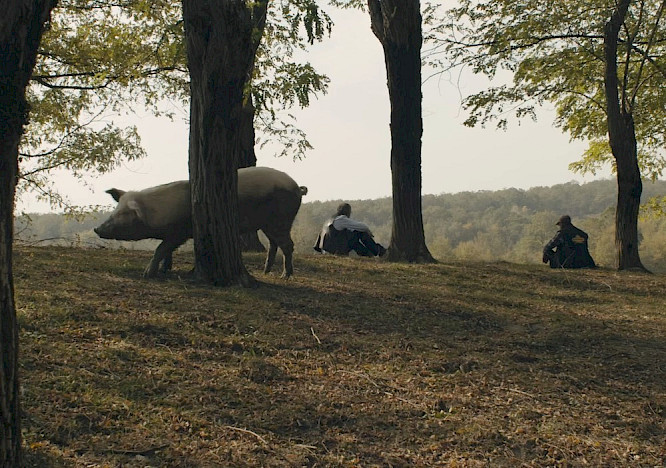 2023 1991 Productions | Color of May