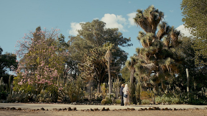 2023 Gebr&uuml;der Beetz | NEW DOCS