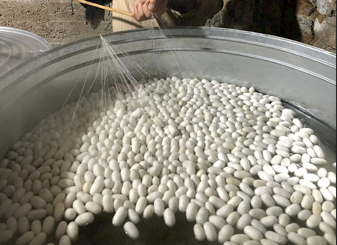 2022 Windcatcher Productions | NEW DOCS