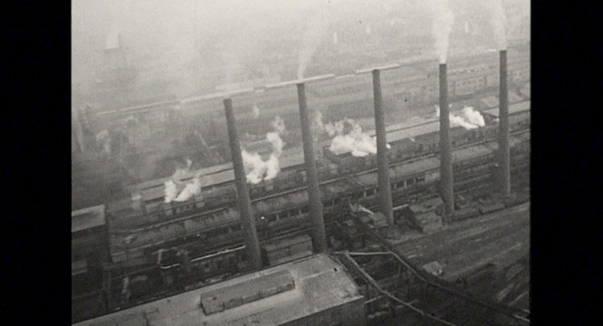 2023 Real Pictures, LuFilms, Tama Film