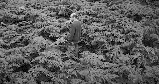 2022 Moritz Moessinger | FILM KINO TEXT