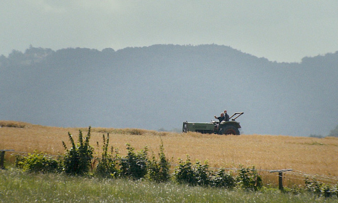 2023 Gretel Ribka, Jonas Riedinger | HFF Munich