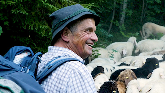 ALPINE SHEPHERD'S LAST SUMMER