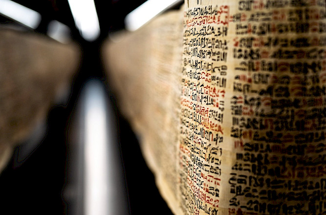 2023 Schulz & Wendelmann Film | NEW DOCS | MDR | arte