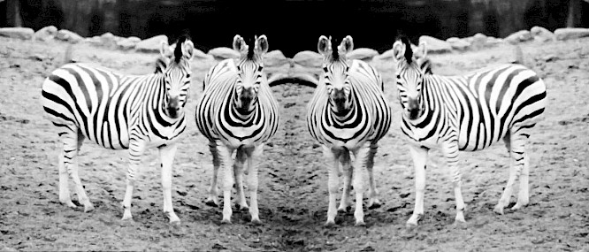 2023 Werner Biedermann