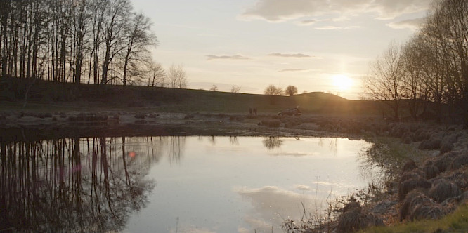 2023 Pink Shadow Films GmbH