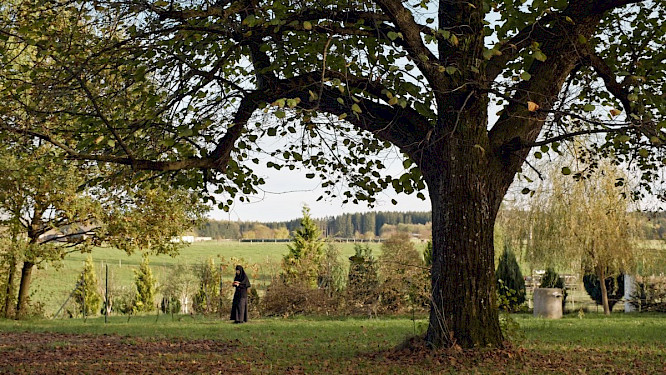 2024 Michael Kalb Filmproduktion