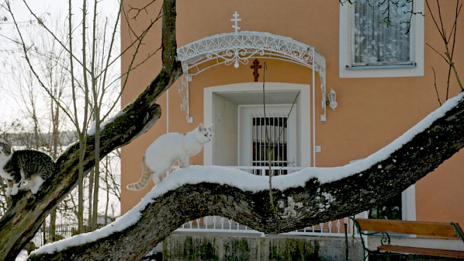 2024 Michael Kalb Filmproduktion