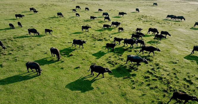 2023 HANFGARN & UFER | NEW DOCS