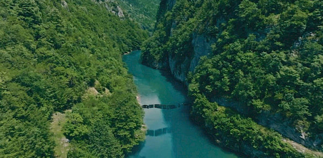 2023 telekult | NEW DOCS