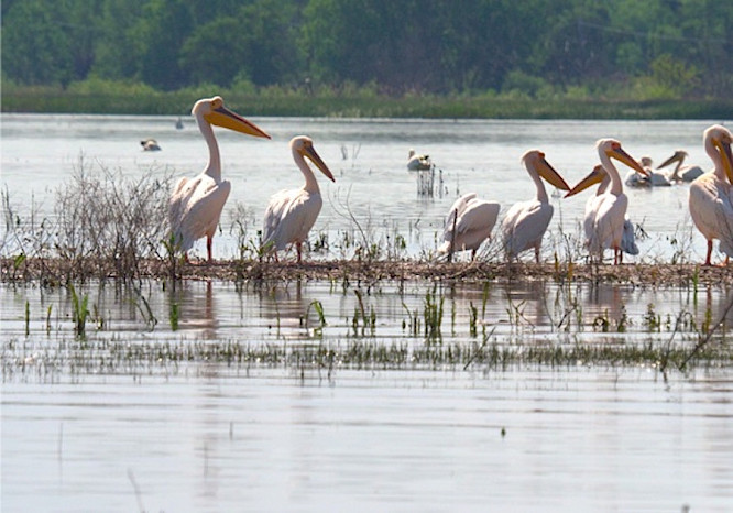 2023 telekult | NEW DOCS