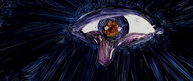 2023 Anahita Safarnejad