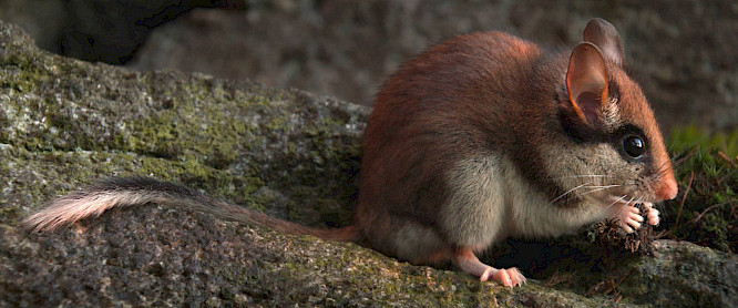 2023 MARCO POLO FILM AG | Albatross World Sales GmbH