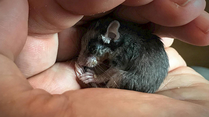 2023 MARCO POLO FILM AG | Albatross World Sales GmbH