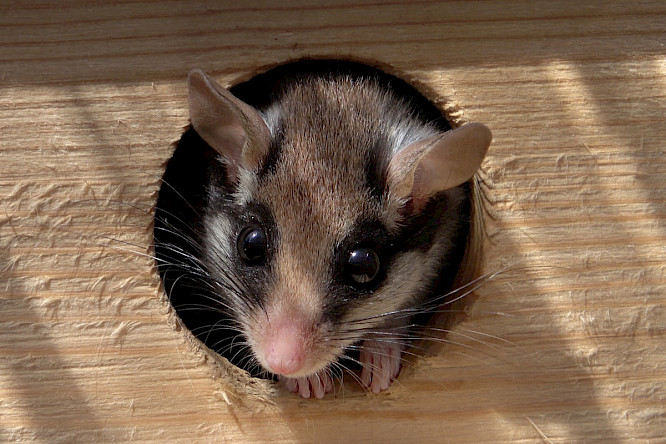 2023 MARCO POLO FILM AG | Albatross World Sales GmbH