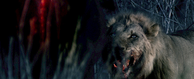 2021 Owen Pr&uuml;mm