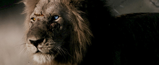 2021 Owen Pr&uuml;mm