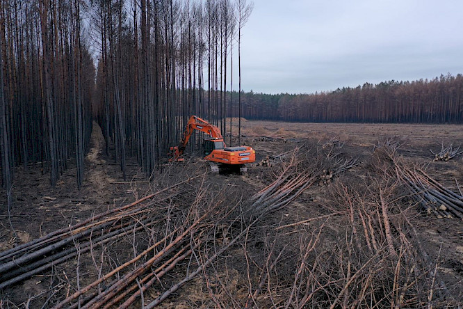 2024 CONDOR Filmproduktion Berlin | Klaus T&uuml;mmler