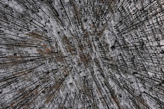 2024 CONDOR Filmproduktion Berlin | Klaus T&uuml;mmler