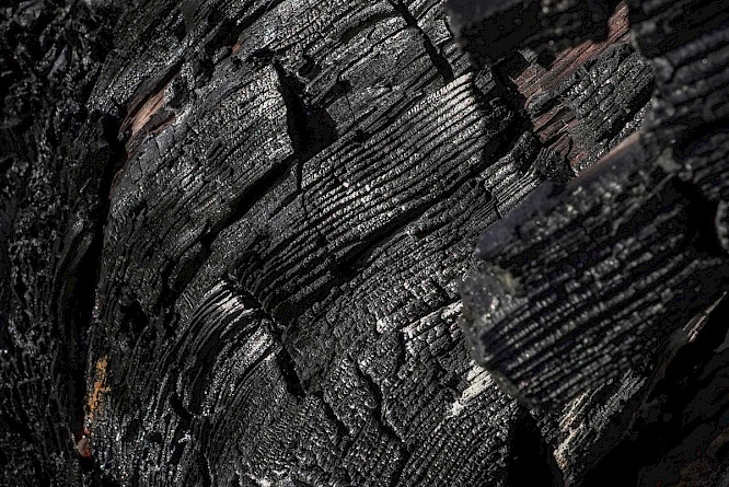 2024 CONDOR Filmproduktion Berlin | Klaus T&uuml;mmler