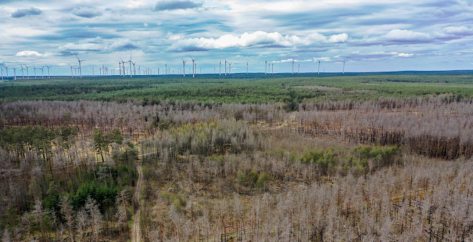2024 CONDOR Filmproduktion Berlin | Klaus T&uuml;mmler