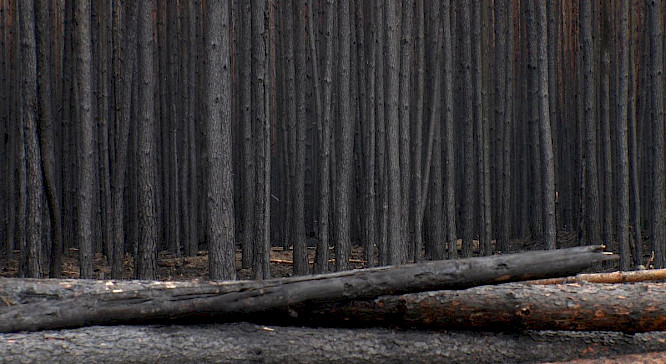 2024 CONDOR Filmproduktion Berlin | Klaus T&uuml;mmler