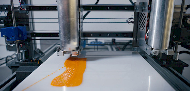 Food substitutes: The Better Alternative?